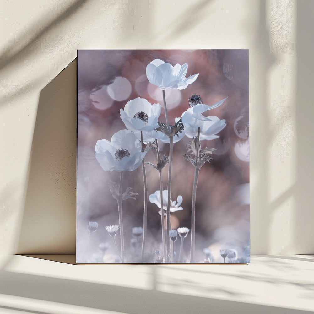 Alle Blumen aller Morgen sind in den Samen von heute | Leinwand