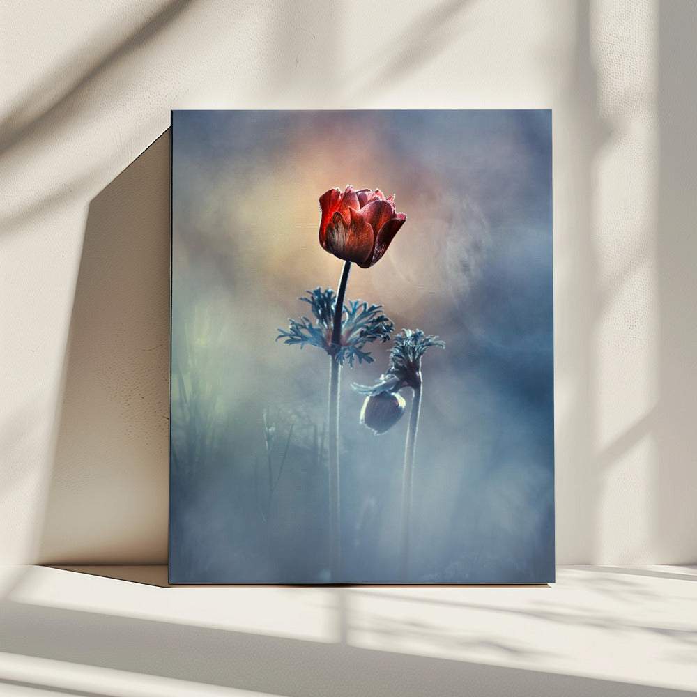 Wo Poesie und Erinnerungen bleiben | Leinwand