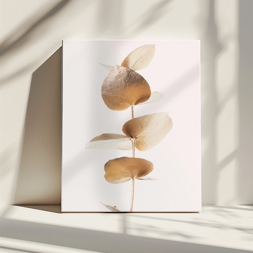 Eukalyptus Gold Nr. 06 | Leinwand