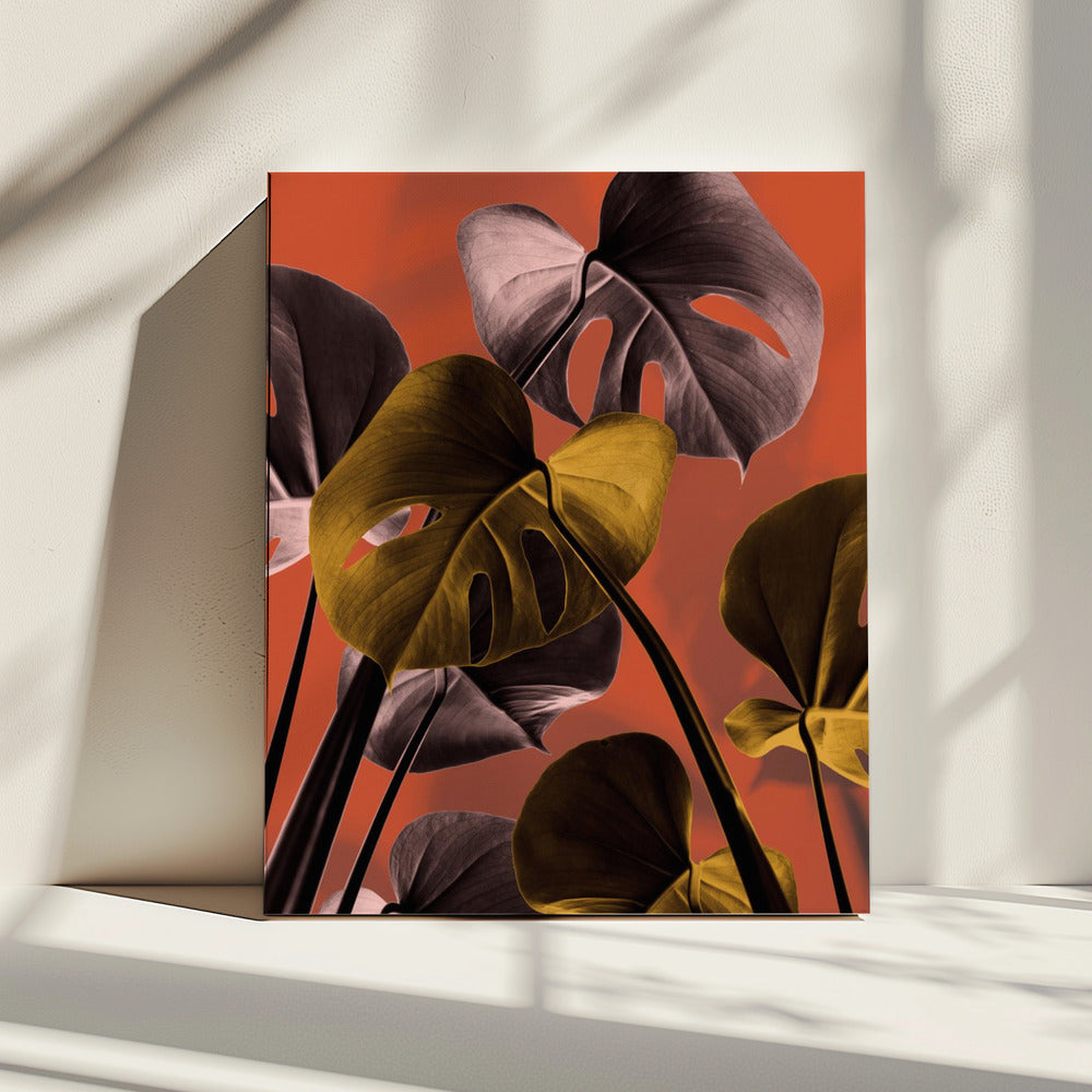 Monstera Orange 01 | Leinwand