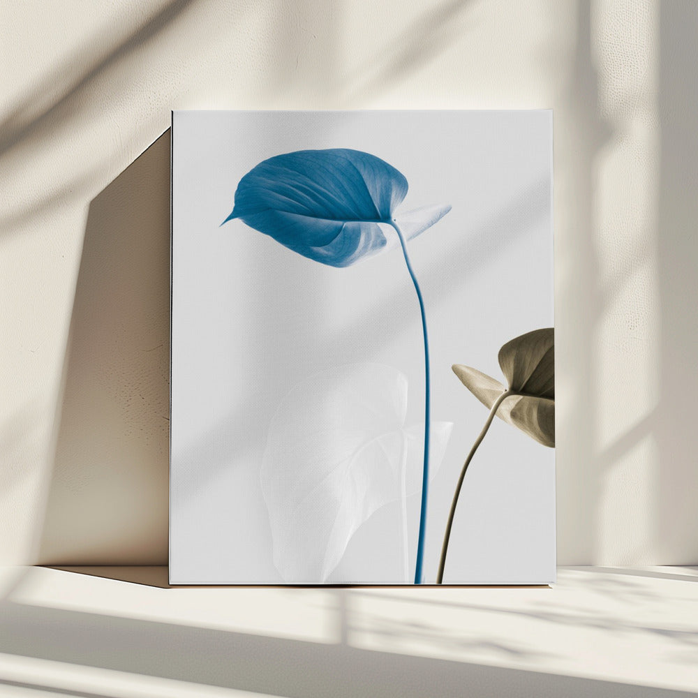 Monstera Creative 19 | Leinwand