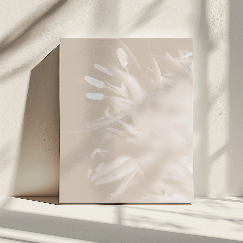 Blume Beige_1 | Leinwand
