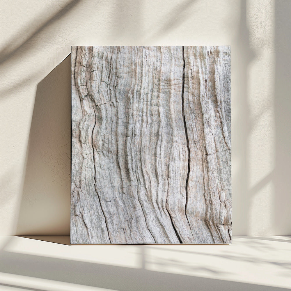 Holzmuster | Leinwand