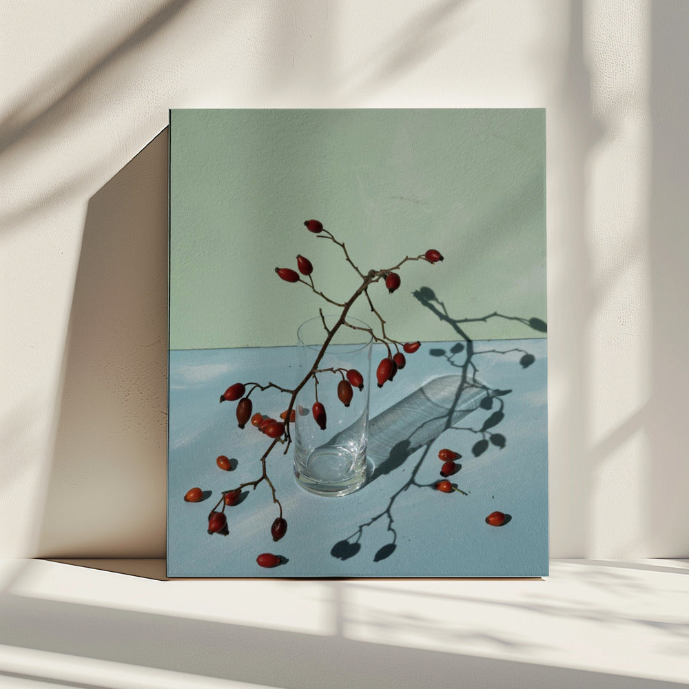 Licht & Schatten | Leinwand