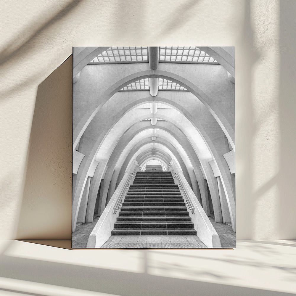 Calatrava Linien | Leinwand
