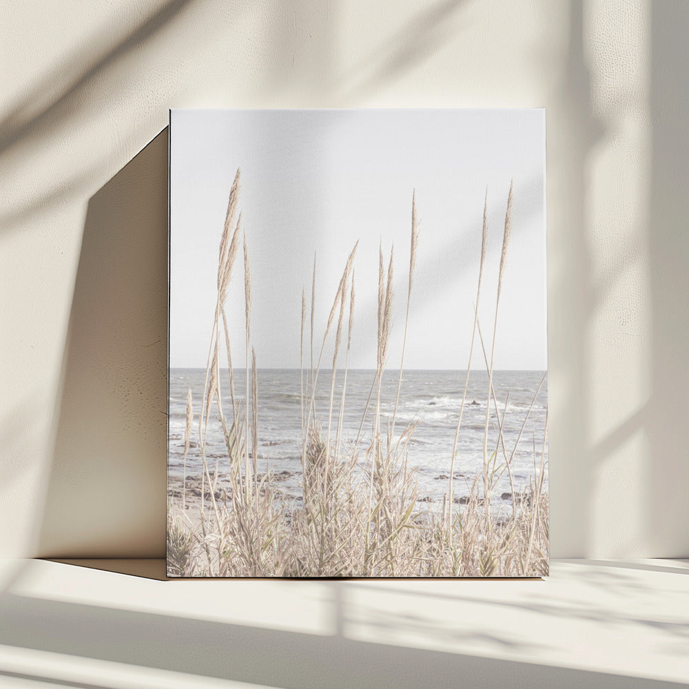 Strand_Vass_001 | Leinwand