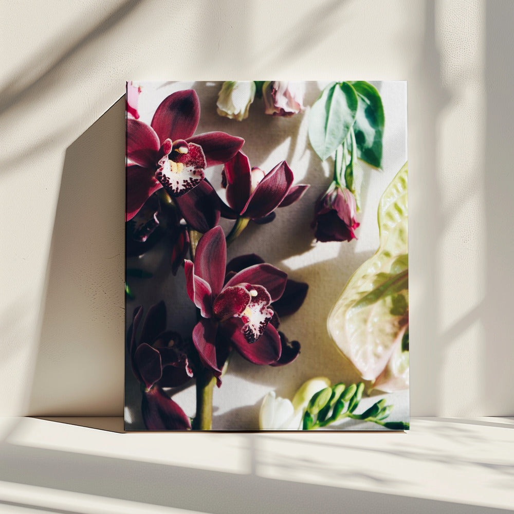 Orchid Elegance | Canvas