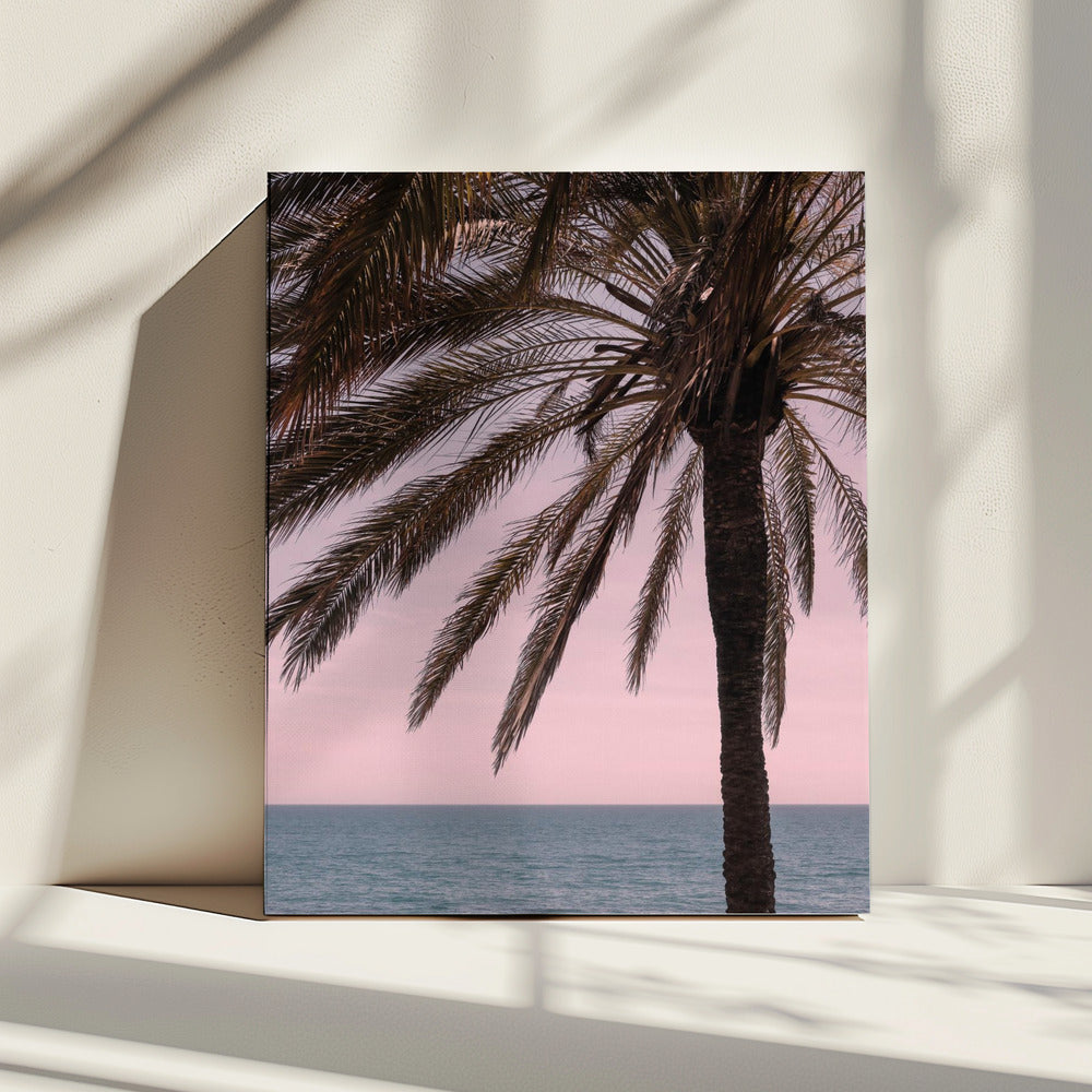Palme_010 | Leinwand