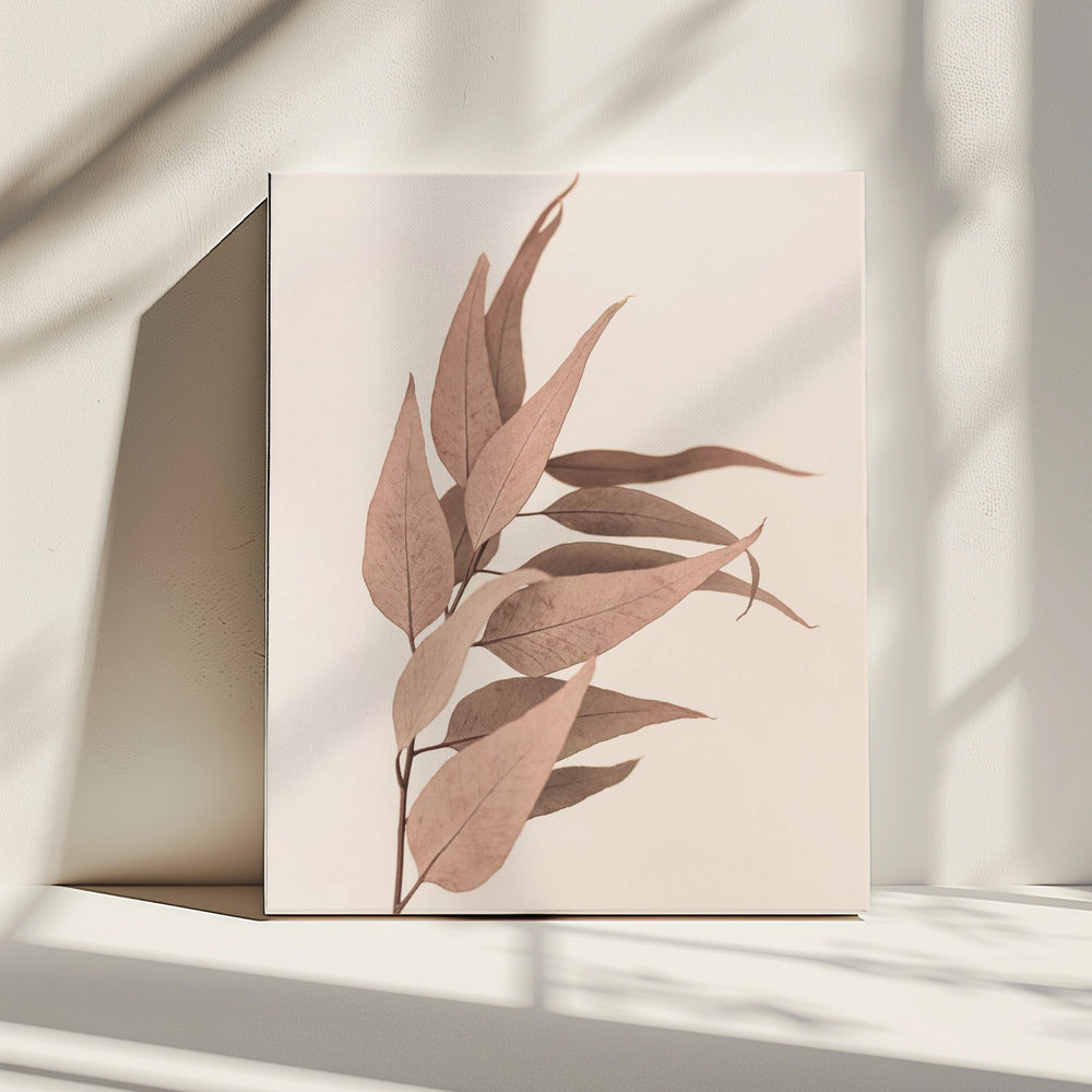 Getrockneter Eukalyptus | Leinwand