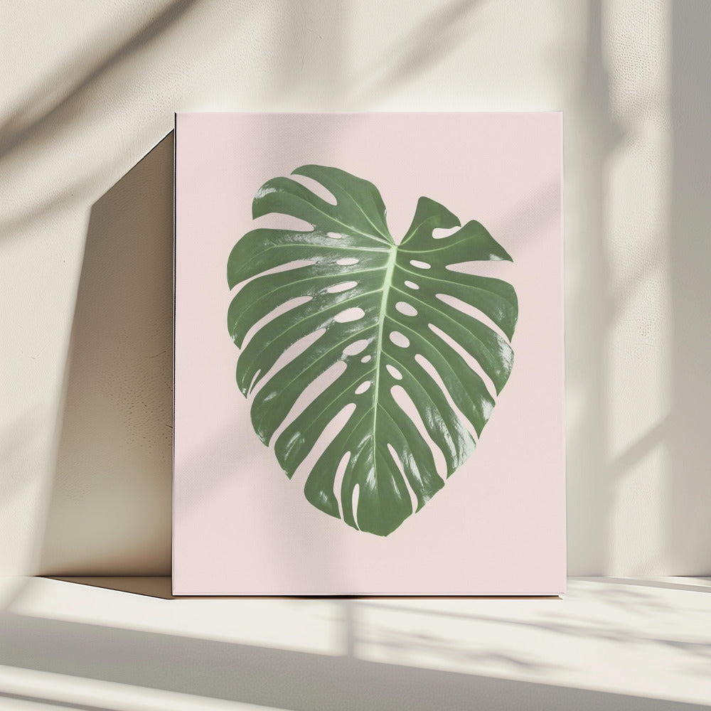 Monstera Blatt Blush | Leinwand