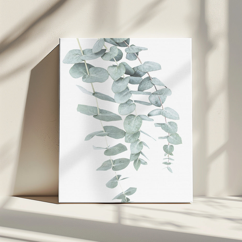 Eukalyptus I | Leinwand