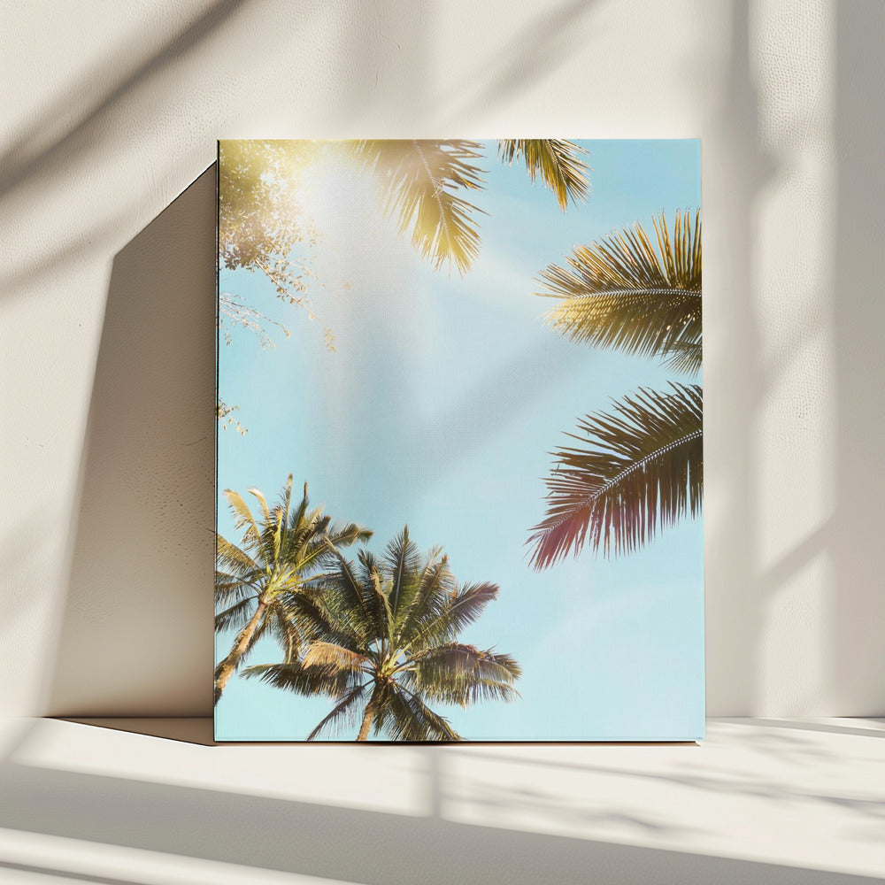 Sun Rays | Canvas