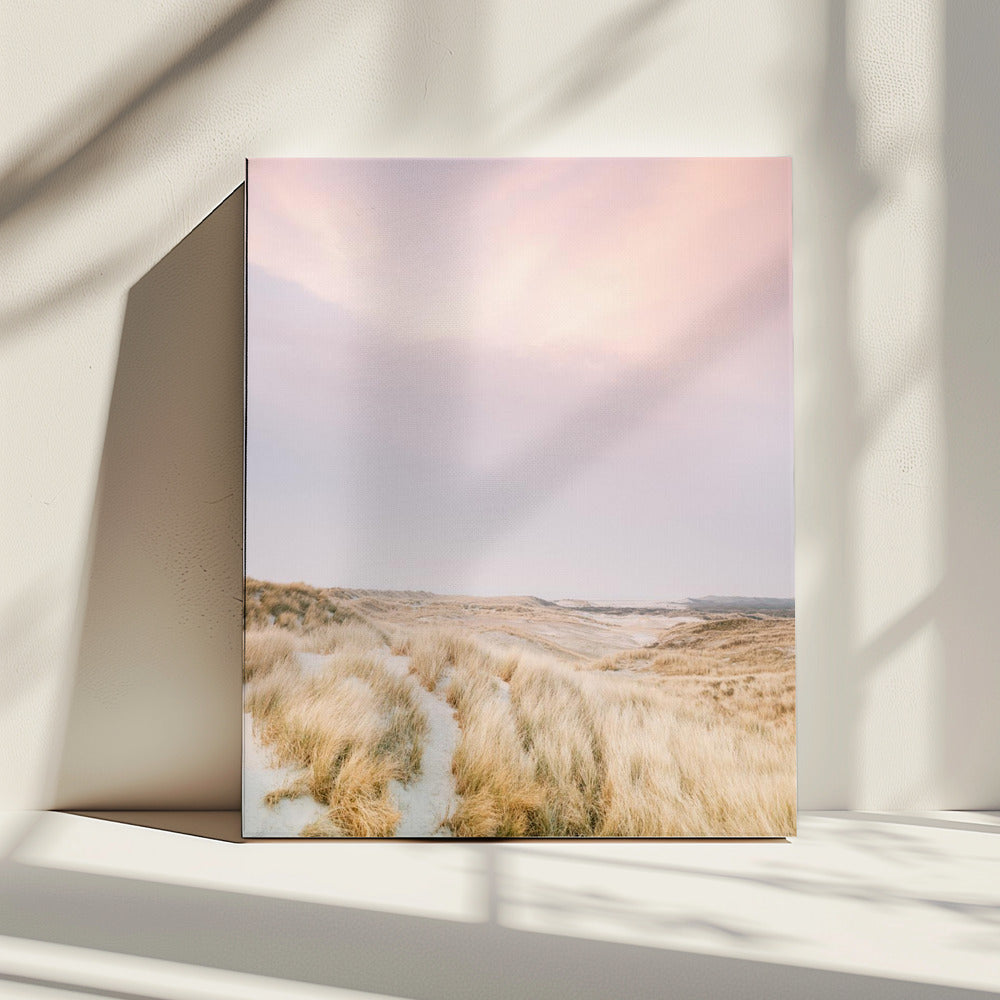 Ameland Dünen 1 | Leinwand