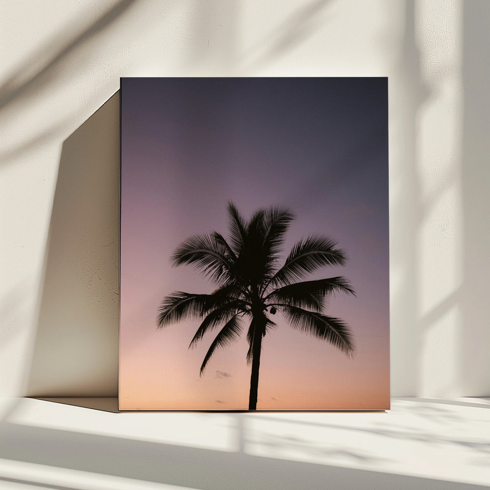 Costa Rica Palme | Leinwand