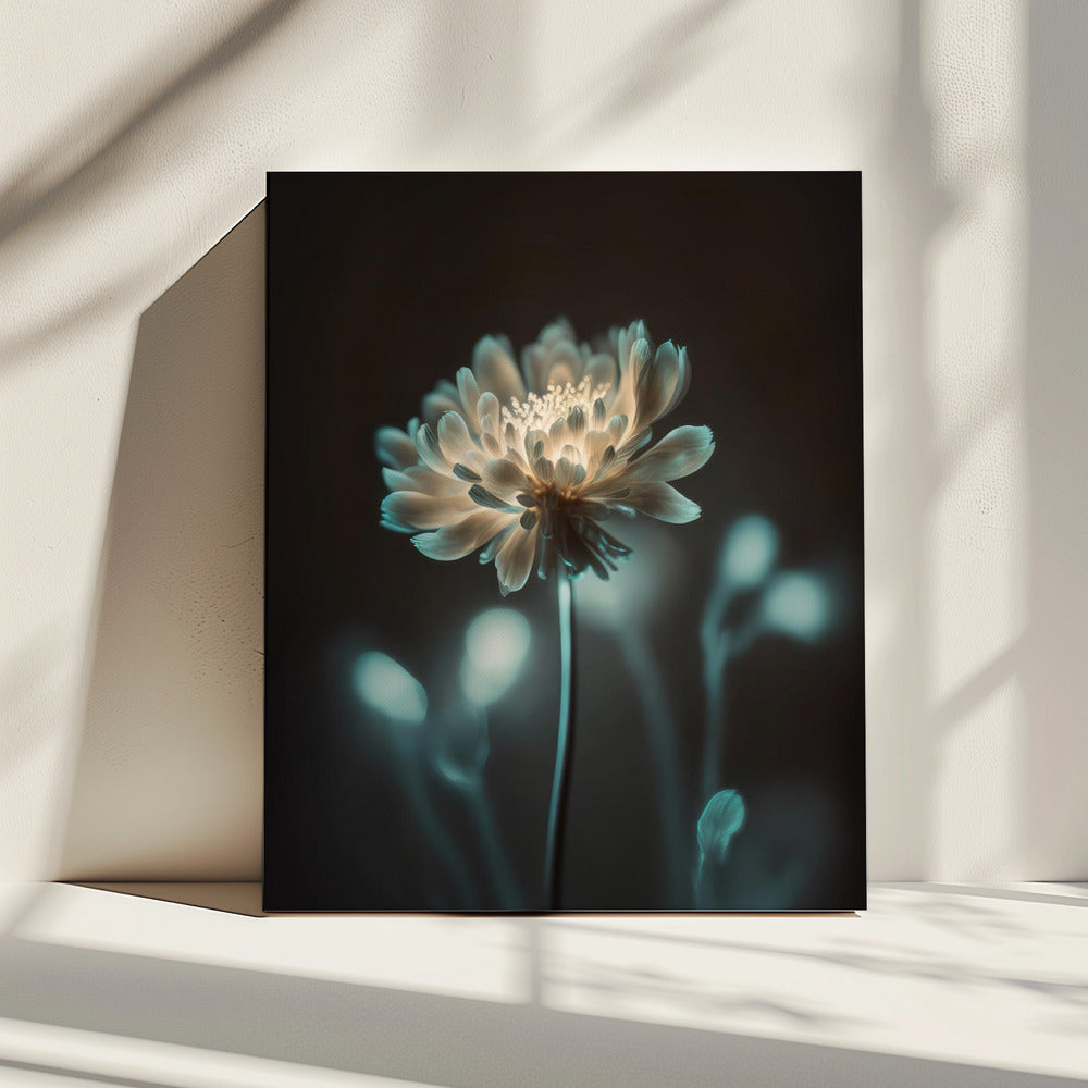 „Leuchtende Blüte“ | Leinwand