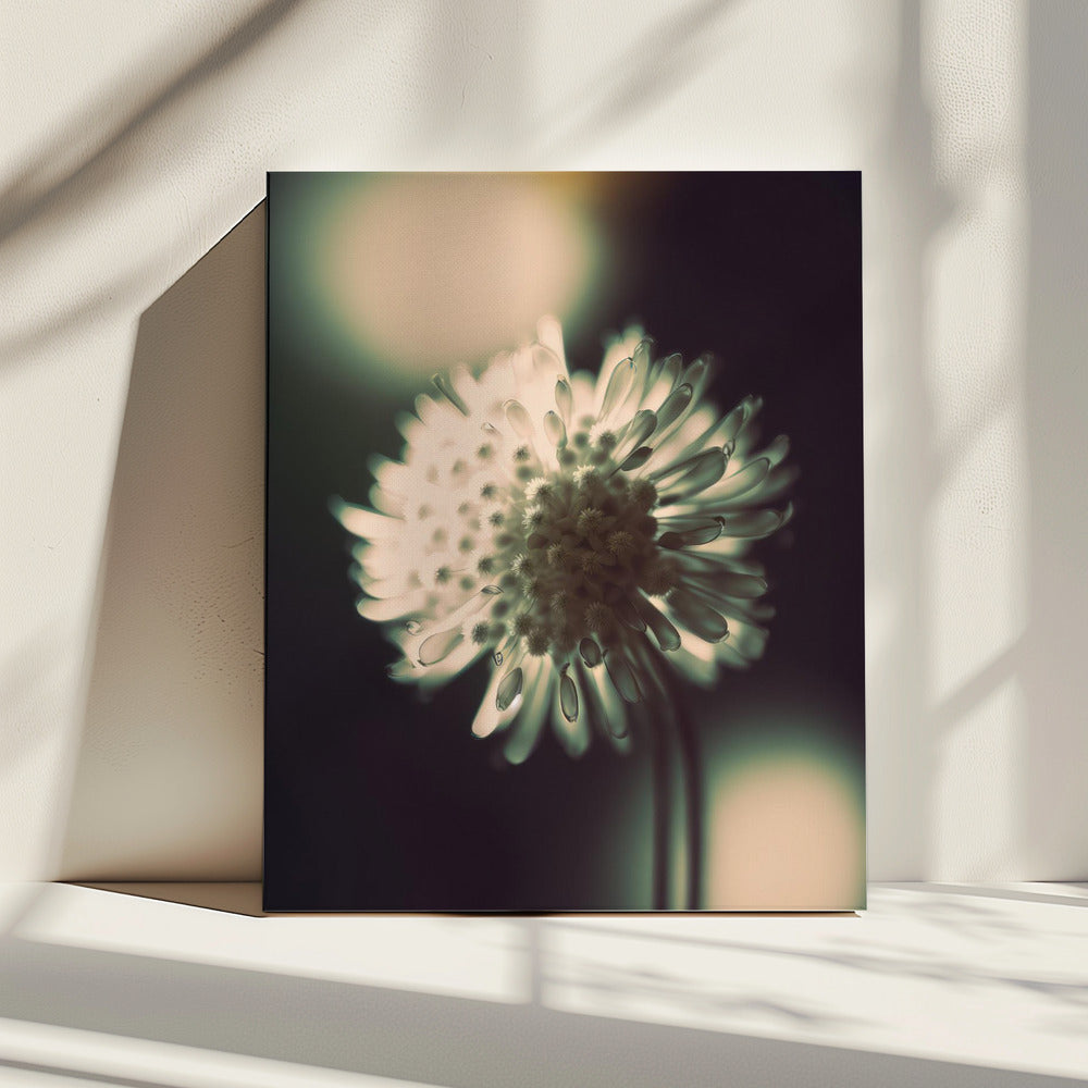 Ätherische Blüte | Leinwand