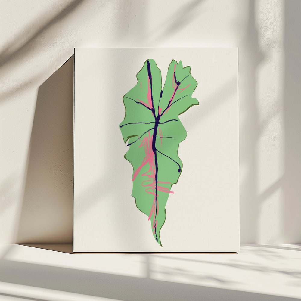 Alocasia Polly | Leinwand