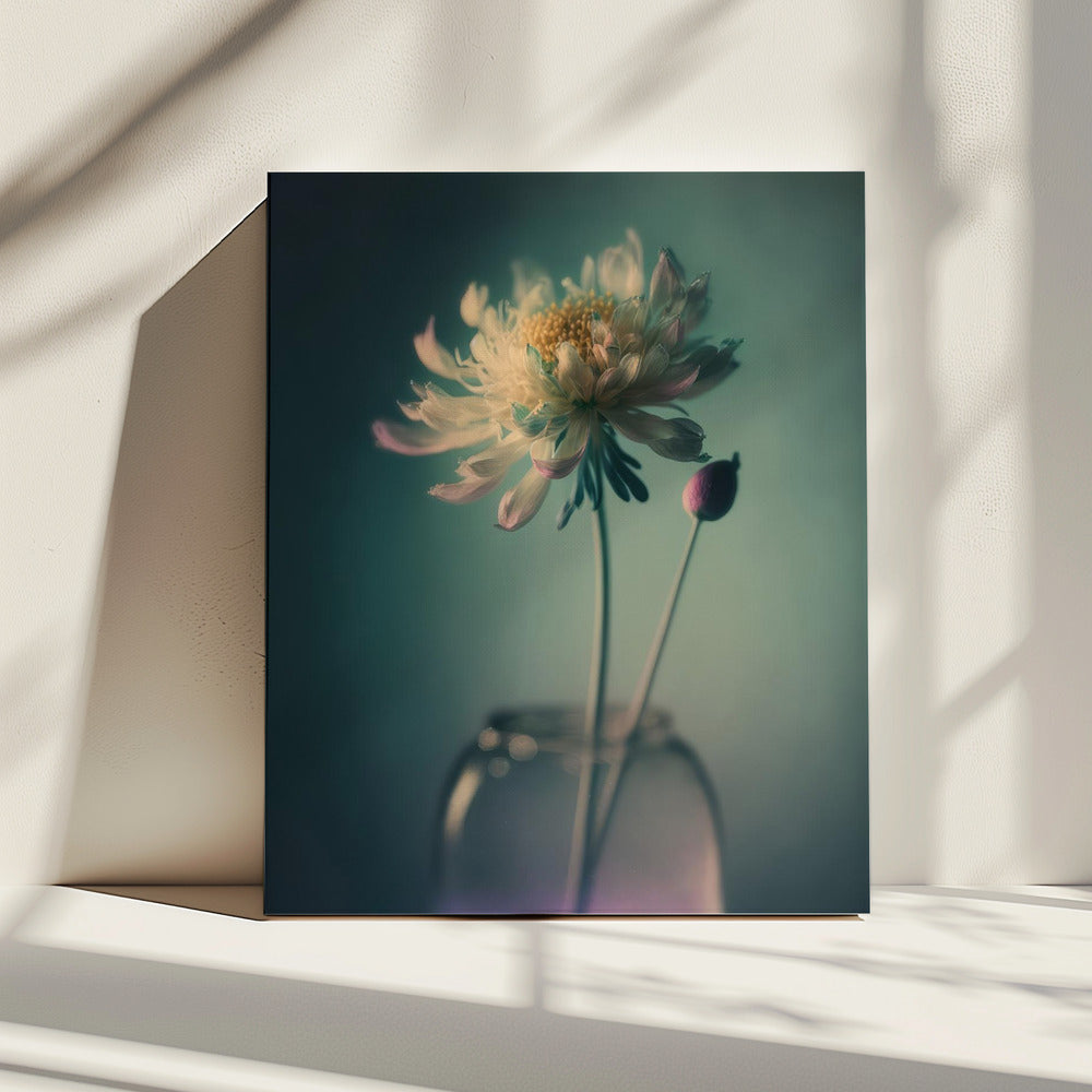 Ätherische Blüte | Leinwand