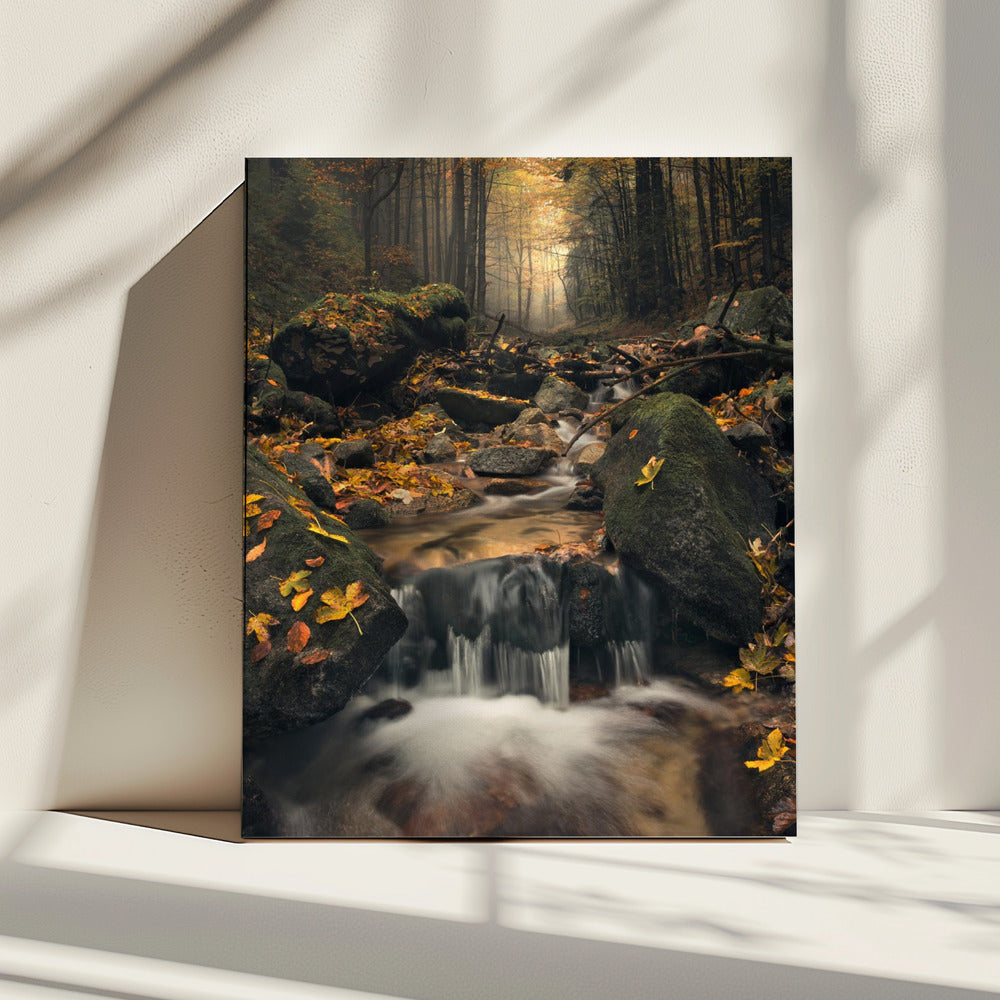 Verträumter Herbst | Leinwand