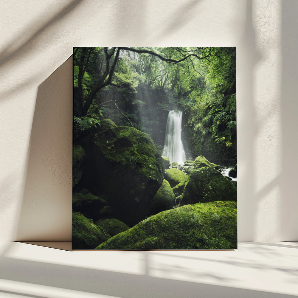 Mystic Falls | Leinwand