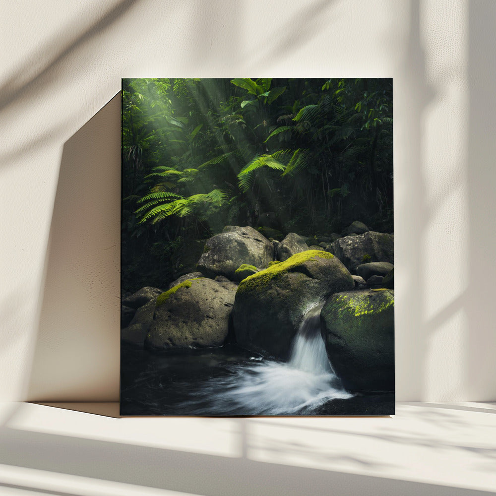 Mystischer Dschungel | Leinwand