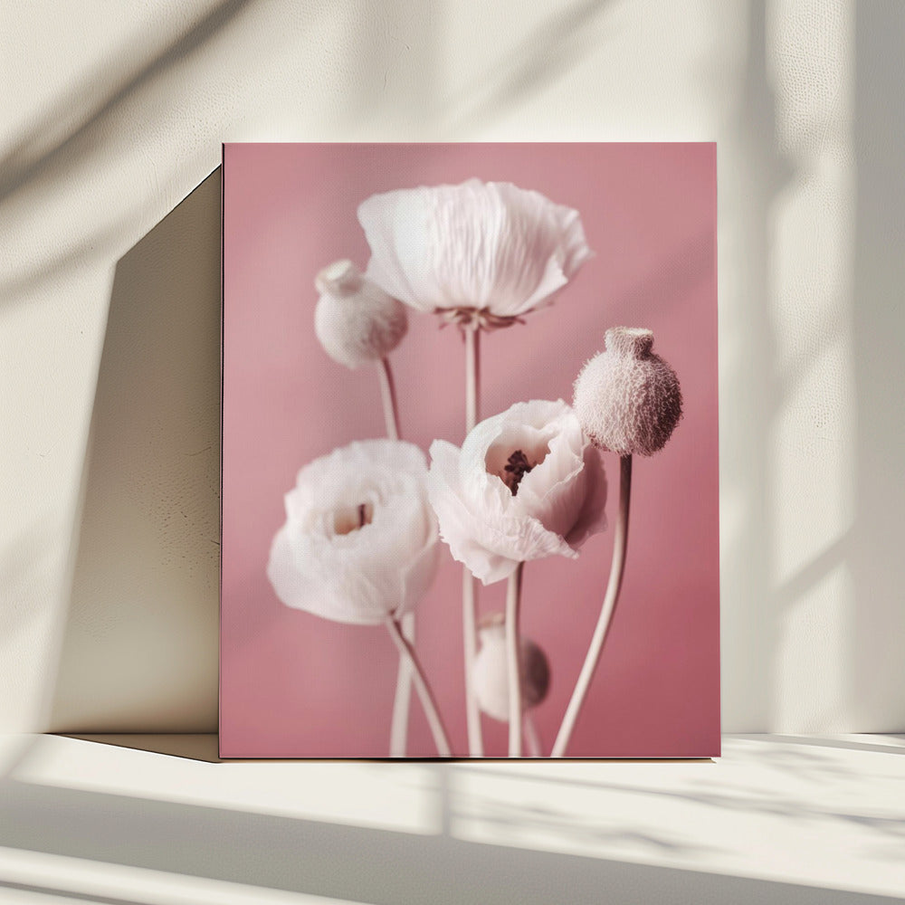 Sanft blühende Mohnblumen | Leinwand