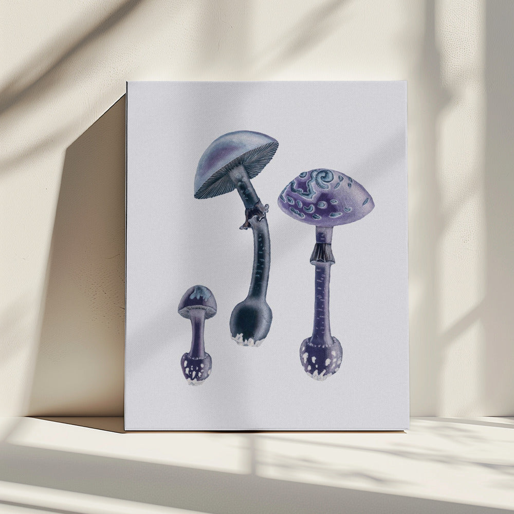 Amanita Muscaria White Backgound Purple | Canvas