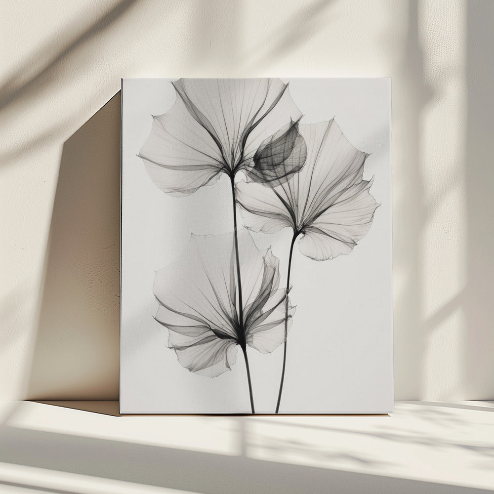 Transparent Botanic Nr. 3 | Leinwand