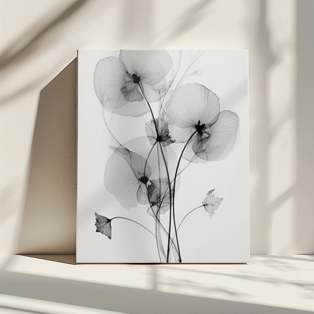 Transparent Botanic No1 | Leinwand