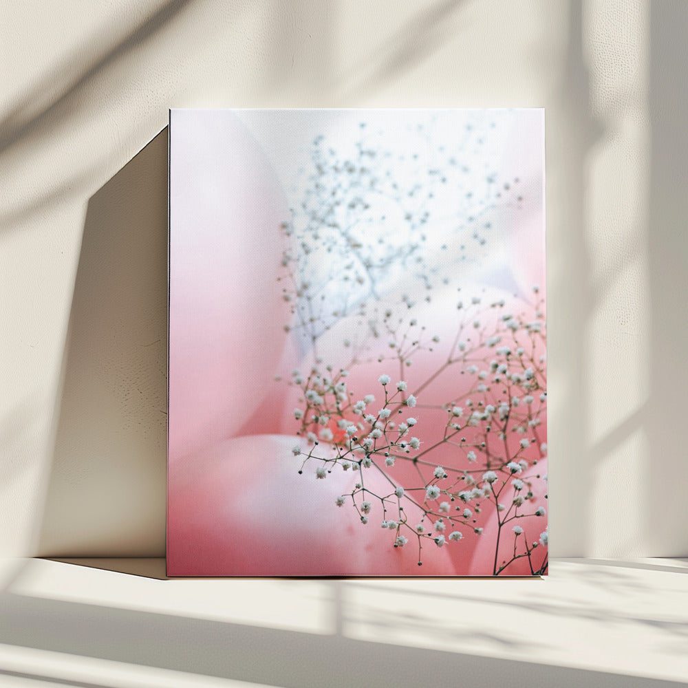 Zarte Ballons mit Blume | Leinwand