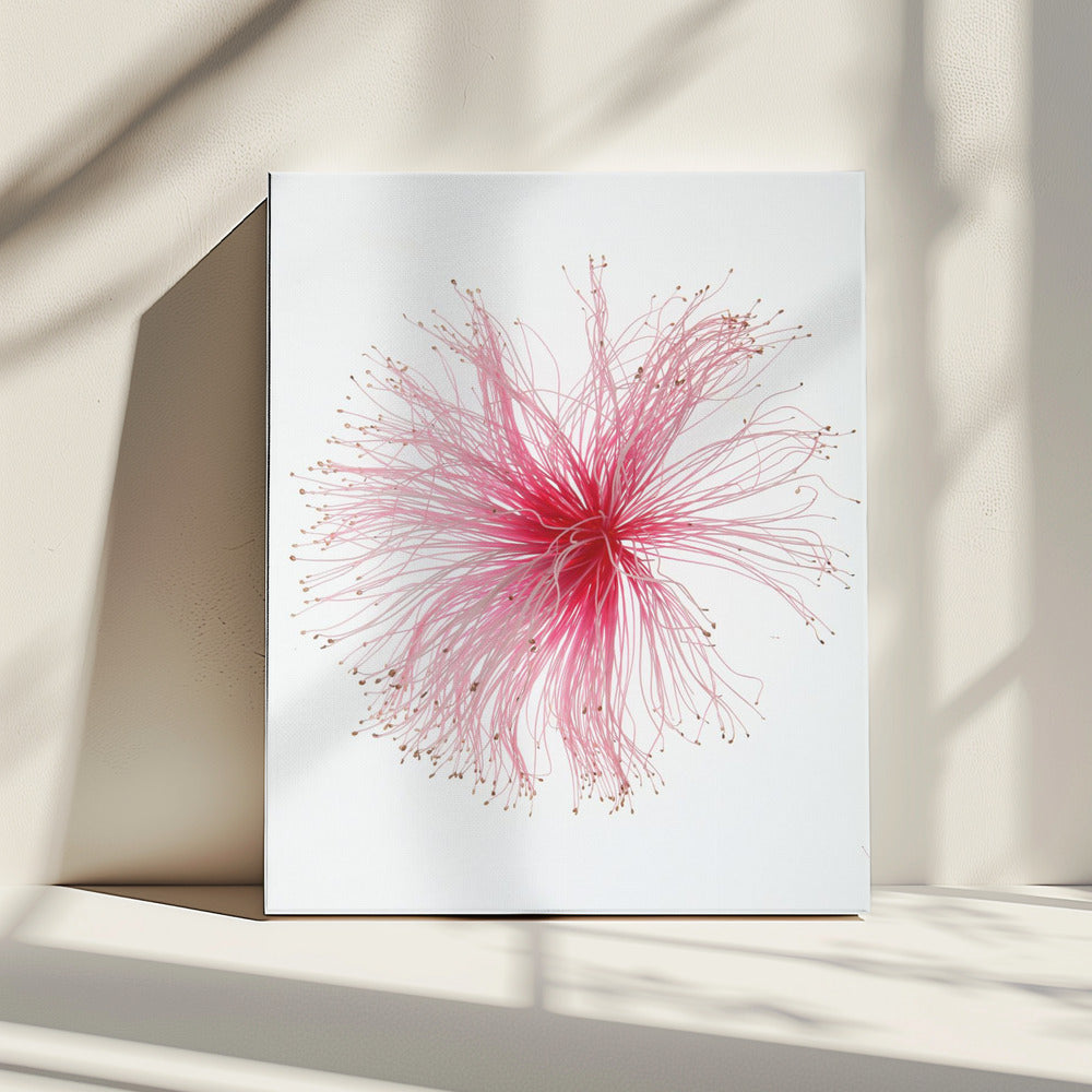 Floral Fireworks | Canvas