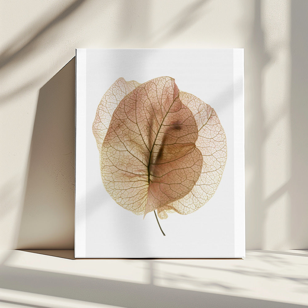 Ethereal Leaves | Canvas