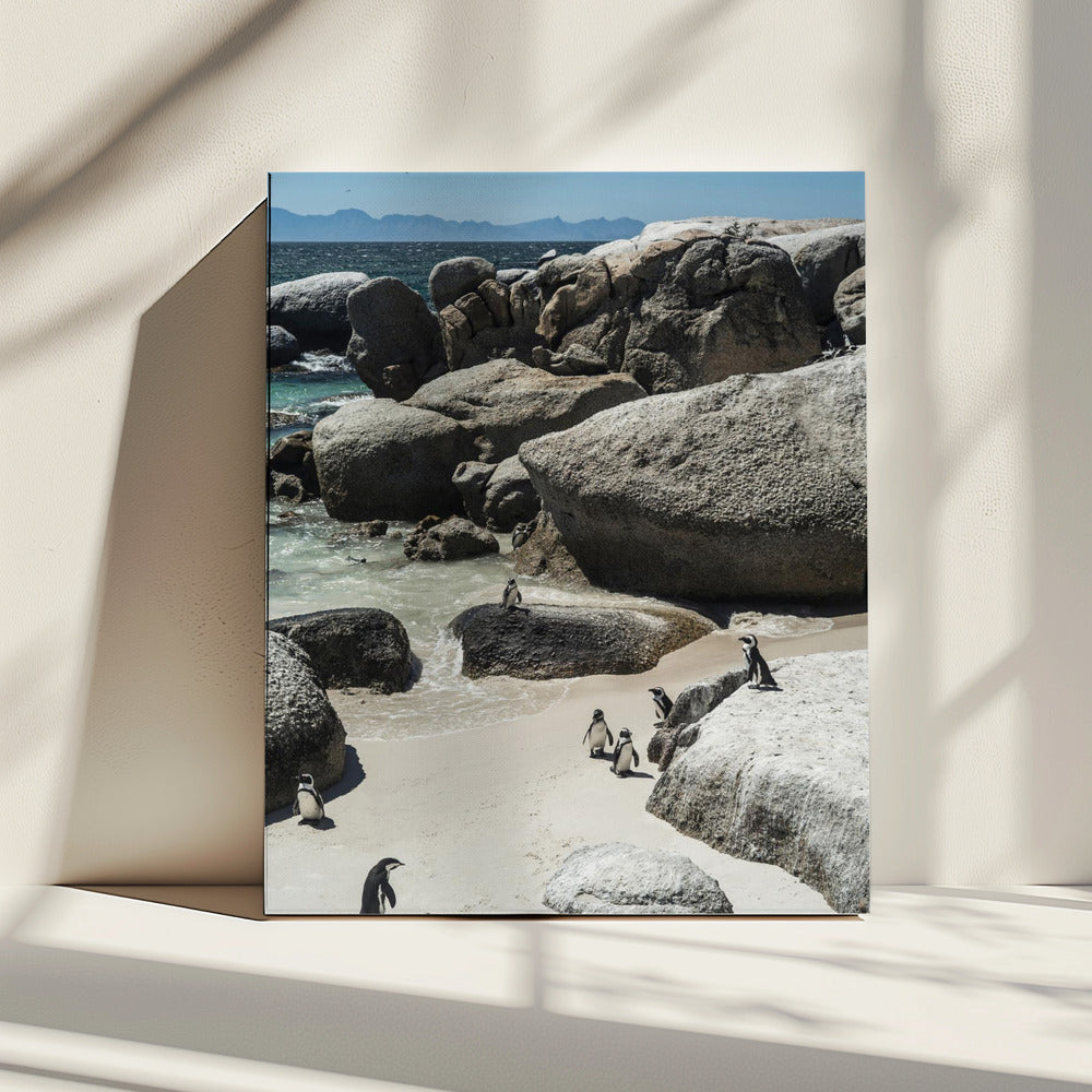 Penguin Cove Serenity | Canvas
