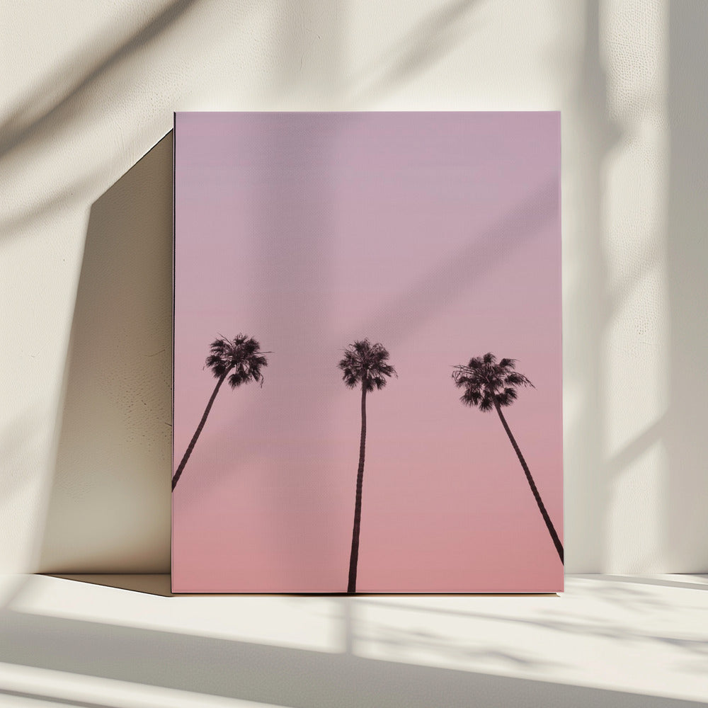 Pink Sky Trio | Canvas