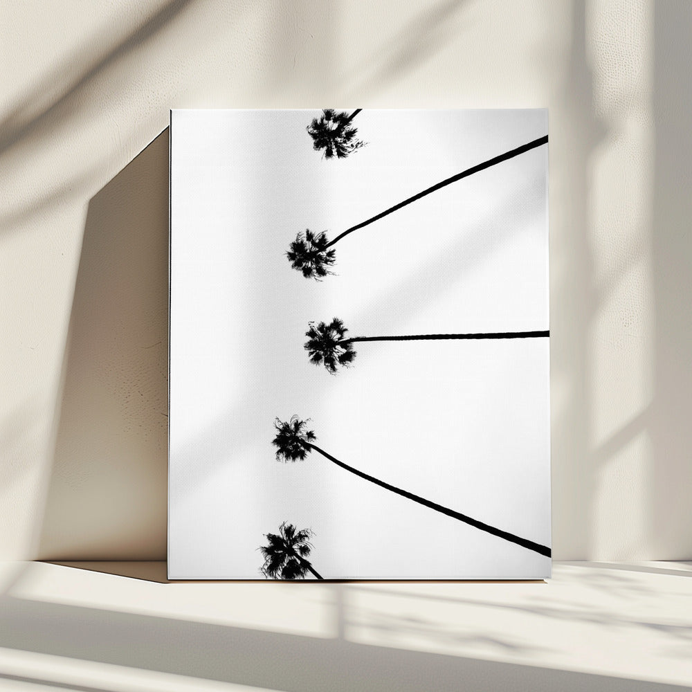 Skyward Palms | Canvas