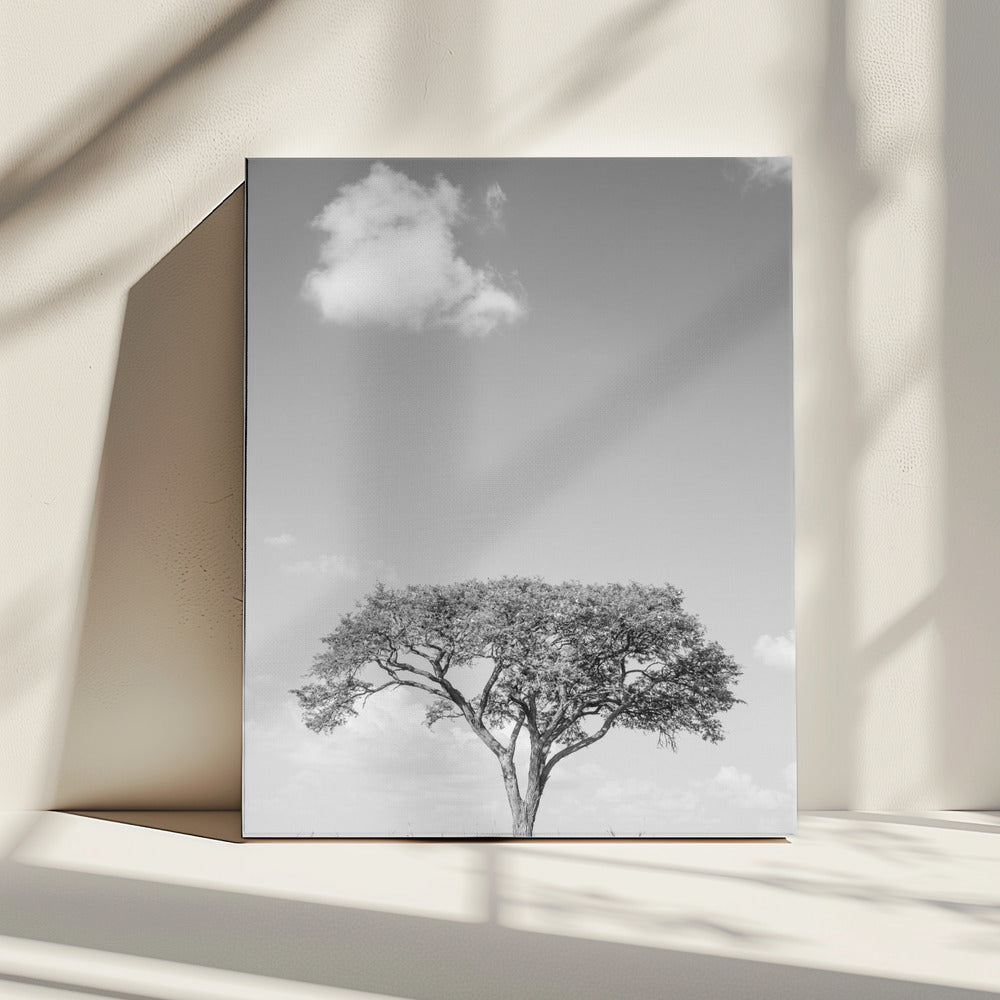Lonely Tree Dreaming | Canvas
