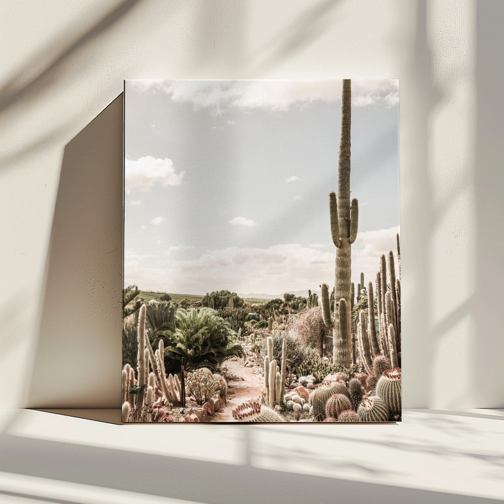 Cactus Farm | Canvas