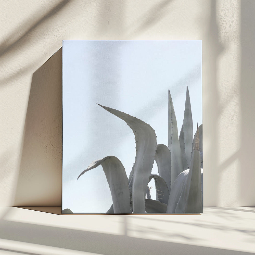 Azure Agave Dreams | Canvas