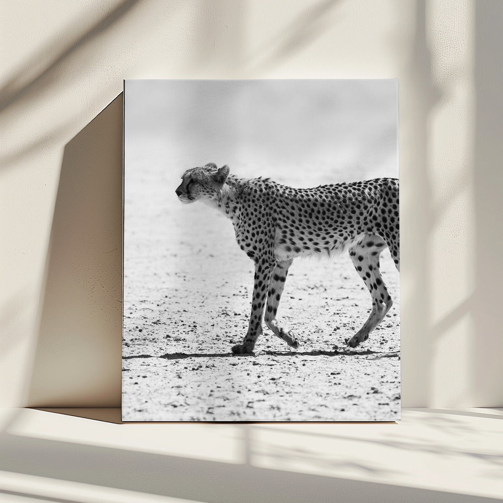 Silent Pursuit | Canvas