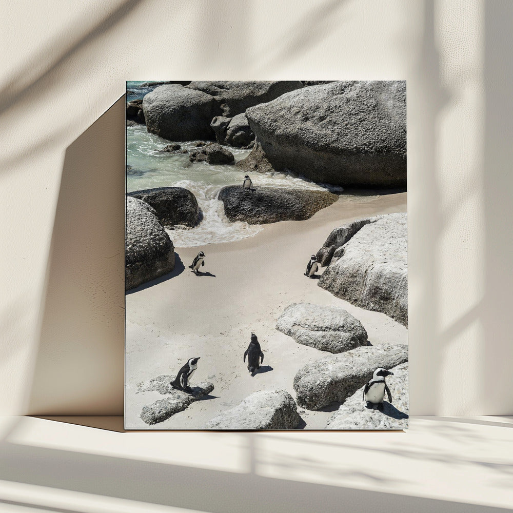 Penguin Beach Stroll | Canvas