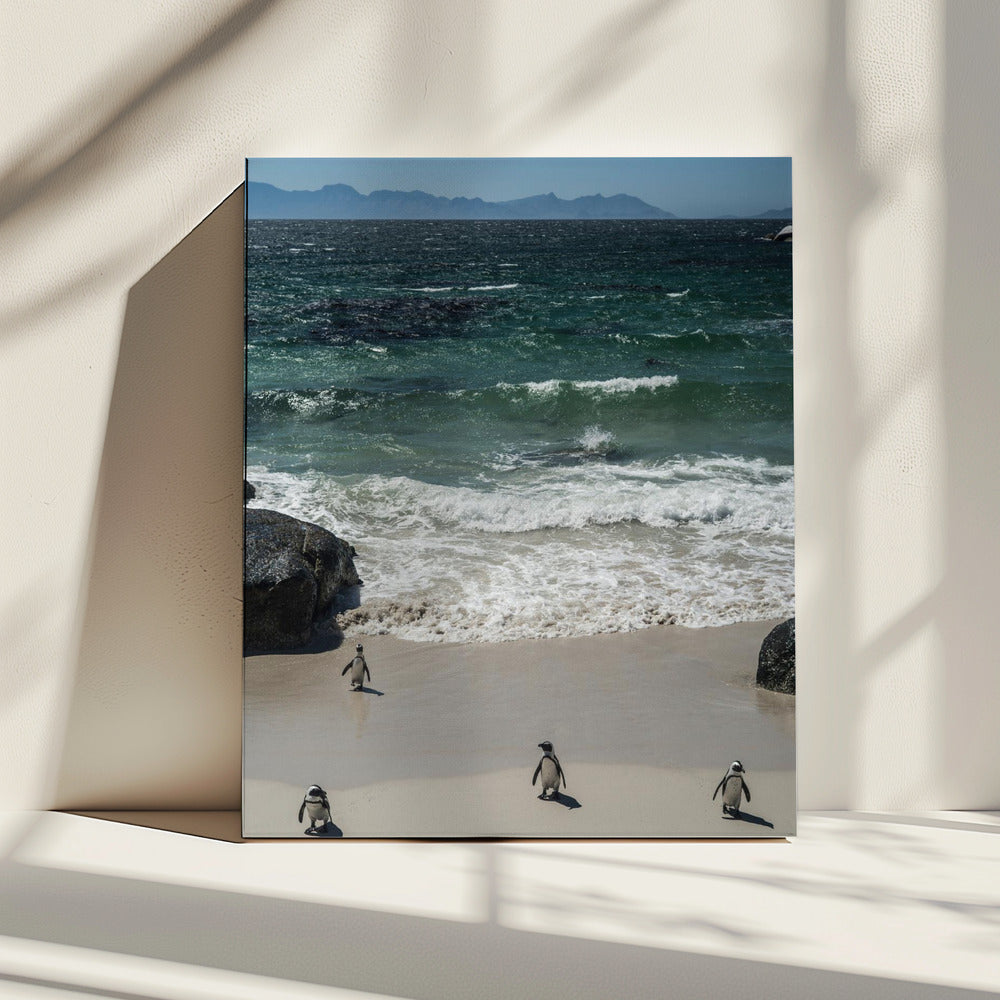 Penguin Beach Stroll | Canvas