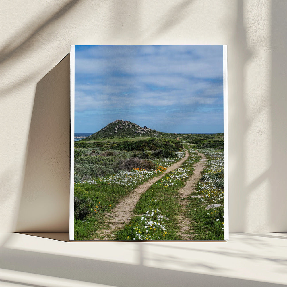 Pathway to Serenity | Canvas