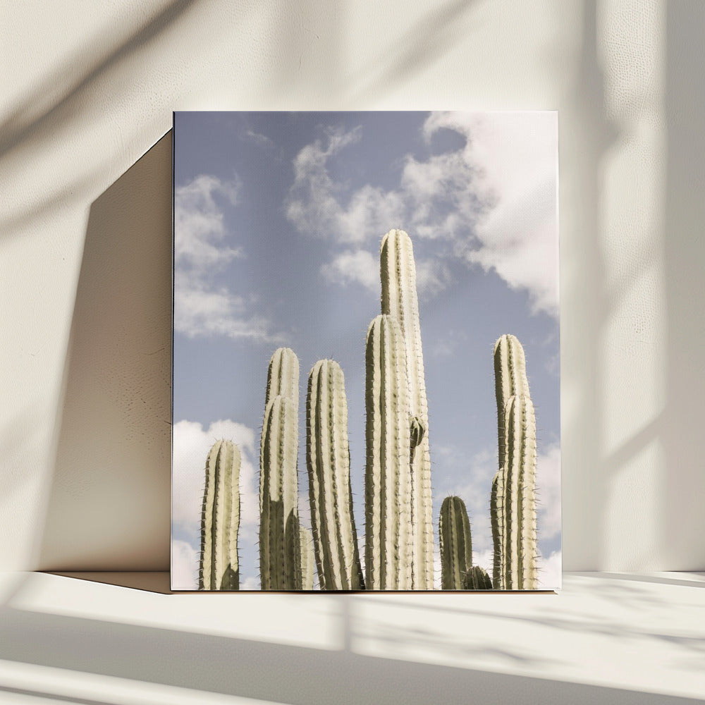 Desert Sentinels | Canvas