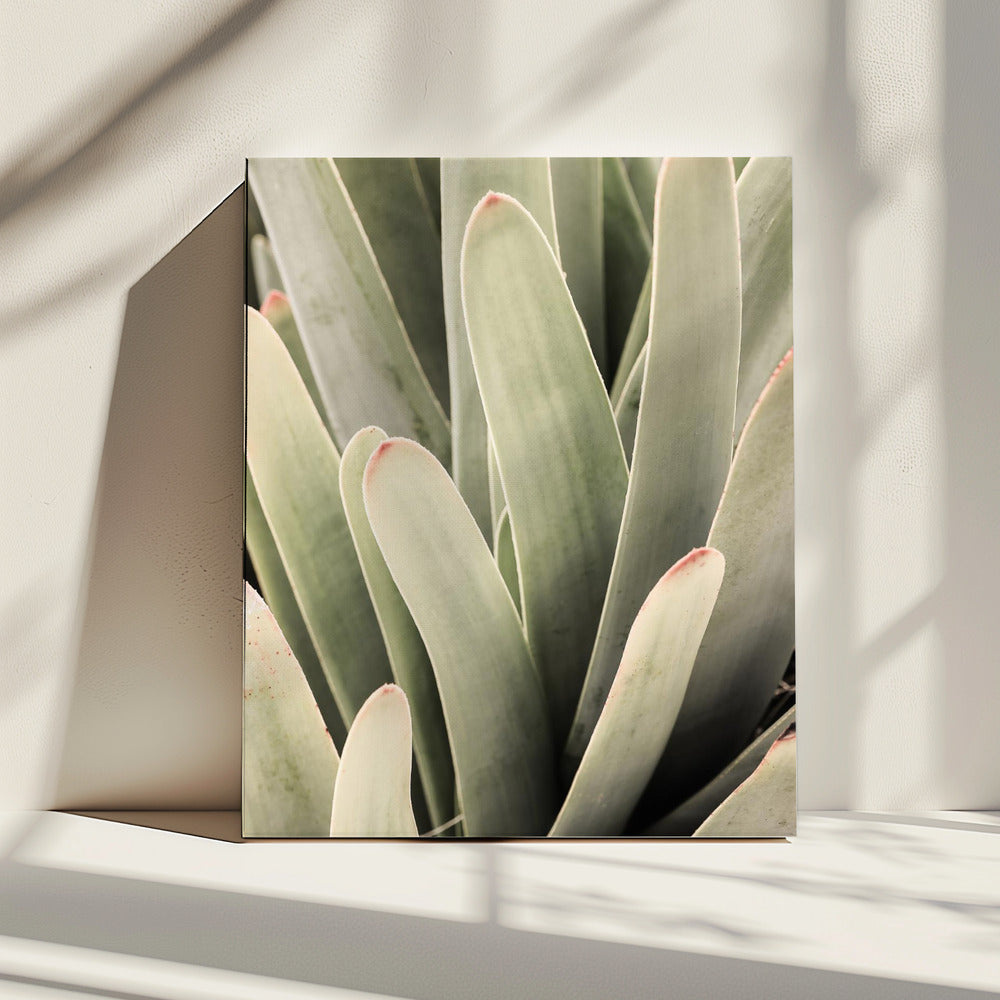Succulent Symphony | Canvas