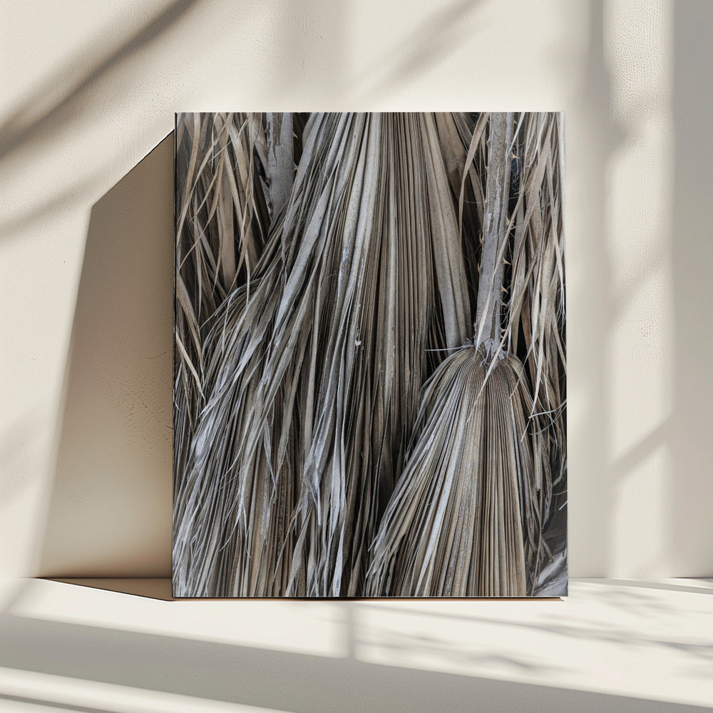 Rustic Palm Texture | Canvas