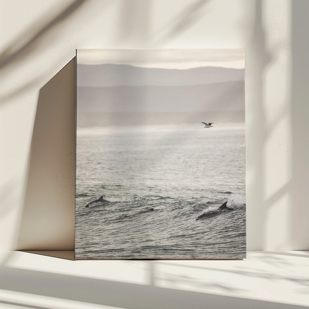 Ocean's Dance | Canvas