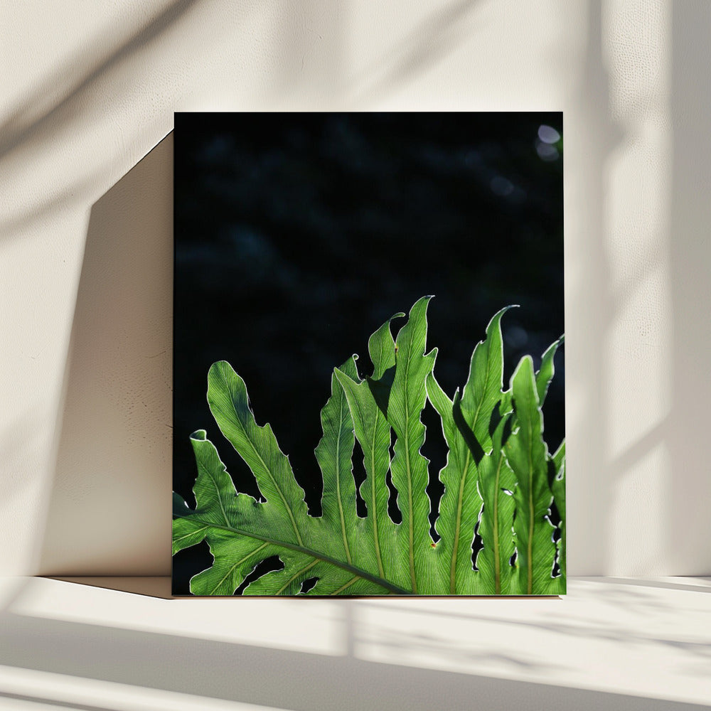 Smaragdgrünes Strahlen | Leinwand