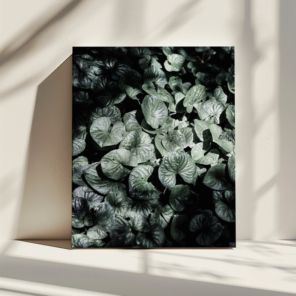 Blattschatten | Leinwand