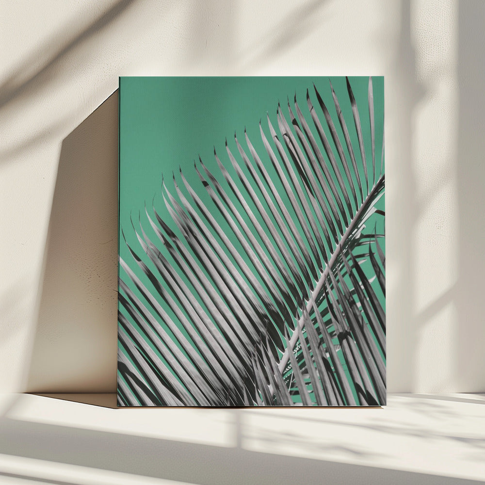 Palmenruhe | Leinwand