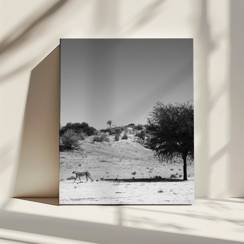 Cheetah's Solitude | Canvas